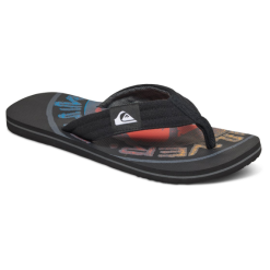 Quiksilver Molokai Layback Youth
